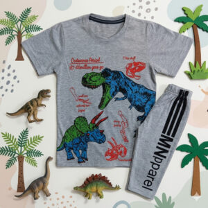 Boys 2-Piece Dinosaur Graphic Printed T-Shirt & Shorts Set - Heather Grey