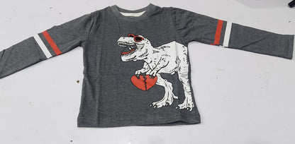 Boys Grey "Cool Dinosaur" Graphic Long-Sleeve T-Shirt - Premium Summer Wear