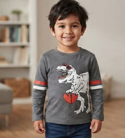Boys Grey "Cool Dinosaur" Graphic Long-Sleeve T-Shirt - Premium Summer Wear